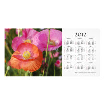 Summer flowers 2012 Calendar Photo Card