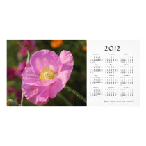 Summer flowers 2012 Calendar Photo Card