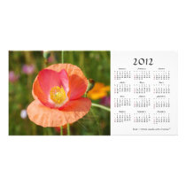 Summer flowers 2012 Calendar Photo Card