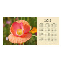 Summer flowers 2012 Calendar Photo Card