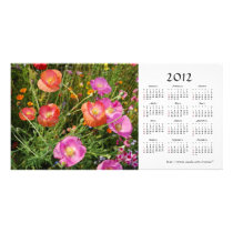 Summer flowers 2012 Calendar Photo Card