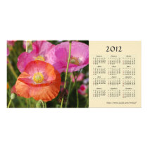 Summer flowers 2012 Calendar Photo Card