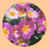 Summer flowers stickers