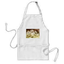 Summer Fruits Aprons
