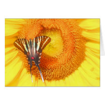 Summer garden,card