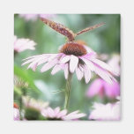 Summer Garden - Echinaceas Fridge Magnet