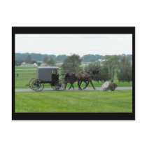 ~ Summer in Lancaster County ~ 72 Postcard