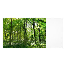 Summer in the forest customized photo card