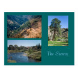 Summer in the Sierras Postcards