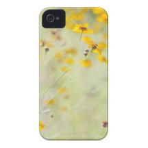 Summer Invitation Case-Mate iPhone 4 Case