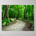Summer Path - Premium Canvas (matte) Poster