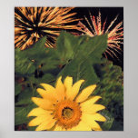 'Summer' Posters