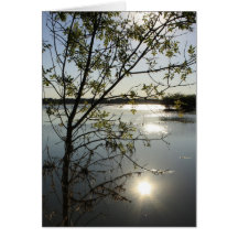 Summer Reflections Card