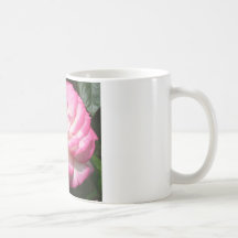 Summer Rose Coffee Mugs