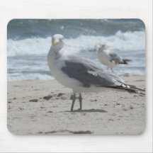 Summer Sea Gull Mousepads
