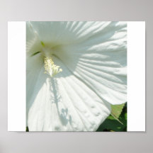 Summer Shadows Print
