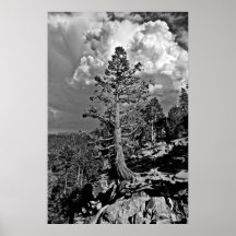 Summer storm Lake Tahoe, Posters