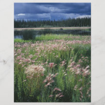Summer Storm Over Refuge Flyers