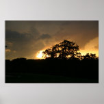 Summer Storm Poster