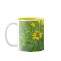 SUMMER SUN mugs