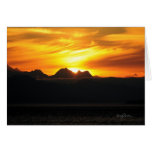 Summer Sun on Glacier Bay Cards