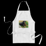 Summer Sun: www.AriesArtist.com aprons