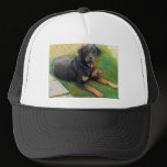 Summer Sun: www.AriesArtist.com hats