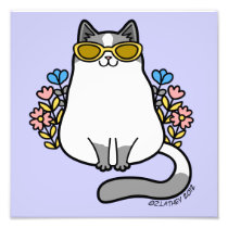 Summer Sunglasses Kitty Cat - Gray and White photography