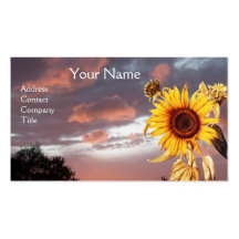 SUMMER SUNSET BUSINESS CARDS