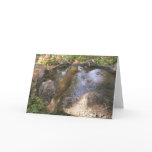 Summer Tanager Bath Card