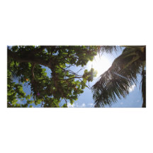 Summer Trees Personalized Rack Card