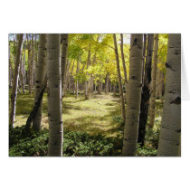 Summer Walk Greeting Card