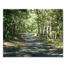 Summer Warmth -10x8 - Photographic Print