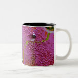 "Summer Wind" Mugs