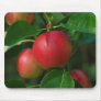 Summerred Apples Mousepad