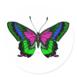 Summers Bright Colours 5 stickers