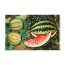 Summer's Melons Stretched Canvas Print