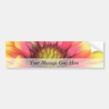 Summer's Star - The Blanket Flower Bumper Stickers