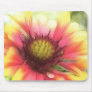 Summer's Star - The Blanket Flower Mousepad