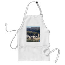 Summersville Lake Aprons