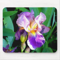 "Summertime Iris" mousepads