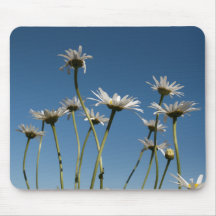 Summertime Ox-eye Daisies Mouse Mat