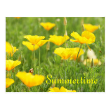 Summertime postcard