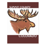 Summit County Colorado brown moose postcard