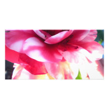 Sun and Flower Personalized Photo Card