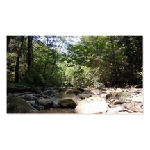 Sun and Shadow in a Creek Bed Business Card Templates