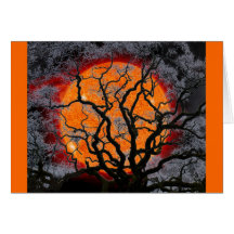 Sun and Winter Tree Greeting Card