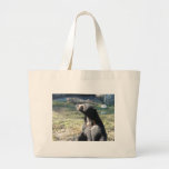 Sun Bear Canvas Bags