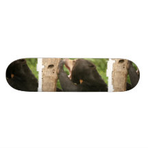 Sun Bear with Mouth Open Skate Board