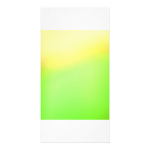 Sun Bursting Spring Photo Cards